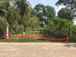 Siêu phẩm đất đẹp - chính chủ bán gấp - phù hợp cho mọi gia đình