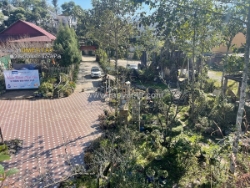 Siêu phẩm đất homestay view triệu đô – đường điện biên phủ, lối rẽ xuống bản