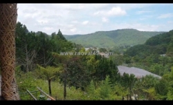 Siêu phẩm đất rộng view đẹp 14.000m2 mặt tiền mimoza – giảm giá bán gấp còn 42