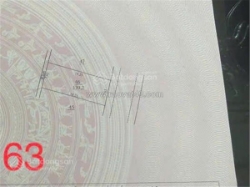 Siêu phẩm dòng tiền lô đất ở và được phép kd dịch vụ thăng long 9 kim chung