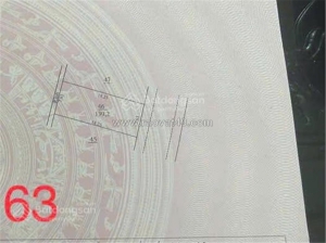 Siêu phẩm dòng tiền lô đất ở và được phép kd dịch vụ thăng long 9 kim chung