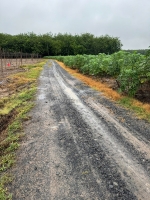 Sở hữu ngay lô đất đẹp 🌿diện tích 1000m2