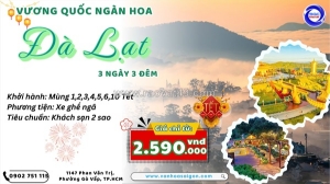 Tết âm lịch 2026 để sgctourist đưa bạn lên đà lạt ngắm ngàn hoa