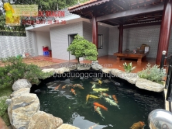 Thiết kế & thi công hồ cá koi theo phong thuỷ hcm, đồng nai