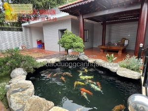 Thiết kế & thi công hồ cá koi theo phong thuỷ hcm, đồng nai