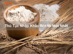 Thủ tục nhập khẩu bột mì mới nhất