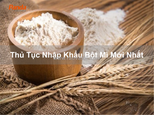 Thủ tục nhập khẩu bột mì mới nhất