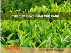 Thủ tục xuất khẩu chè xanh