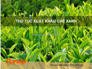 Thủ tục xuất khẩu chè xanh