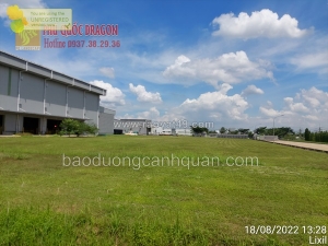 Thuê người dịch vụ cắt cỏ phát cỏ trọn gói ở đồng nai, hcm