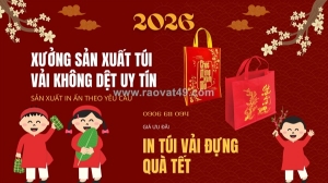 Top 3 mẫu túi vải đựng quà tết được ưa chuộng nhất 2026