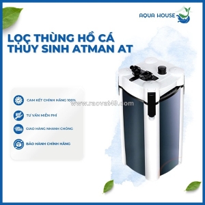 Top mẫu lọc thùng được người nuôi cá ưa chuộng cho hồ 1m2