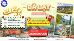 Tour du xuân đà lạt 3 ngày 3 đêm
