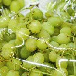 Trái cây nhập khẩu