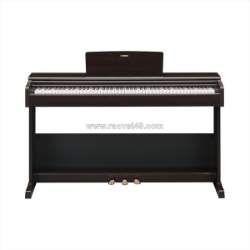 Tự học piano online, ydp-105 và ydp-145 có phù hợp không?