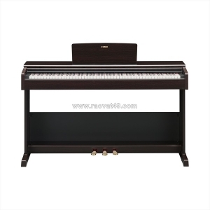Tự học piano online, ydp-105 và ydp-145 có phù hợp không?