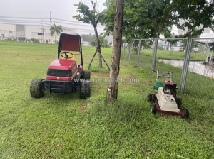 Vì sao nên thuê dịch vụ cắt cỏ thay vì tự làm?