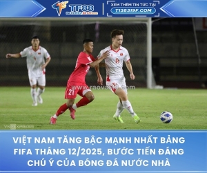 Việt nam tăng bậc mạnh nhất bảng fifa tháng 12/2025, bước tiến đáng chú ý của bóng đá nước nhà