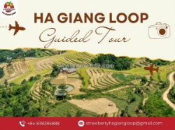 Why a guided journey is the smartest way to experience the ha giang loop