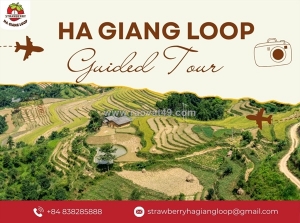 Why a guided journey is the smartest way to experience the ha giang loop