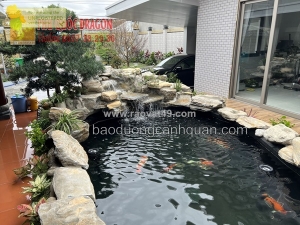Xây dựng tư vấn thi công hồ cá koi nhật uy tín ở hcm, đồng nai
