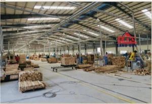 Xt066 nhà xưởng kiên cố thu hút sản xuất linh hoạt ngành nghề, khuôn viên sx