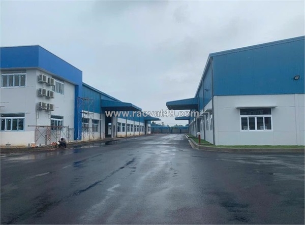 ~/Img/2025/12/xt393-cho-thue-nha-xuong-san-xuat-phuc-vu-linh-hoat-nhieu-nganh-nghe-ban-giao-02.jpg