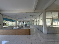 Xt675 nhà xưởng sản xuất kinh doanh thương mại phù hợp chuyển đổi công năng thuê