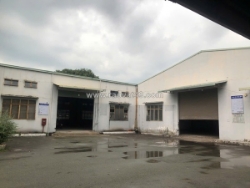 Xưởng cho thuê/bán – giá sốc tại kcn tân thới hiệp, hiệp thành, q13