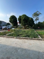 60m khoang mè hạ bằng