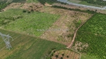 Bán 63000m2 đất xã đạ đờn tỉnh lâm đồng, giá chỉ từ 220-230tr/1000m2. lh:09762997