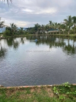 Bán đất 4ha xã thanh hưng, điện biên – vị trí đẹp, đường nhựa ô tô tận vườn lh:0868862862