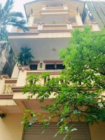 Bán gấp nhà mặt phố hoàng hoa thám 55m giá siêu rẻ