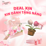 Biến tấu góc nhỏ của bạn với hoa len siêu xinh!