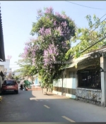 Cần bán giảm sâu còn 6,3 tỷ nhà cấp 4 tiện xây mới.q2