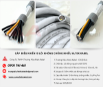 Cáp điều khiển 10 lõi chống nhiễu/ không chống nhiễu
