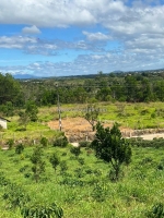 Chính chủ cần bán đất mặt tiền đường trương định,phường lộc châu, tp bảo lộc ( đồi thông phương bối)