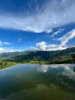 Chính chủ gửi bán 8000m2 đất nông nghiệp giá rất rẻ tại xã chiềng sơn thị xã