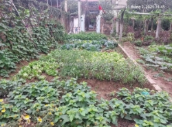 Chủ cũ tìm chủ mới 92m2, 4.6m, 5.4 tỷ, nở hậu, ô tô, thông, việt hùng, đông anh.