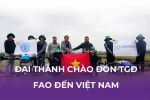 Đại thành chào đón tổng giám đốc fao đến thăm việt nam