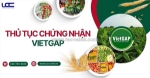 Hướng dẫn thủ tục chứng nhận vietgap từ a-z dành cho doanh nghiệp