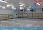 Kho lạnh quảng nam – giải pháp bảo quản hiệu quả cho doanh nghiệp