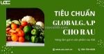 Làm sao để doanh nghiệp đạt tiêu chuẩn globalg.a.p cho rau?