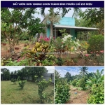 Nhà sang mỹ hết nên cần bán gấp lô đất vườn có 400 thổ cư