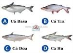 Phân biệt cá basa, cá tra, cá dứa và cá hú