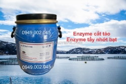 Superzyme - enzyme nguyên liệu tẩy nhớt bám bạt ao tôm