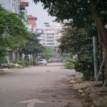 Trục chính kinh doanh tại đặng xá, gia lâm, hà nội. lô góc 42m2, đường nhựa 8m.