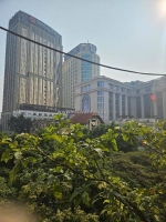 Tt view phố cổ t2 – sân để xe rộng – kdoanh cafe đỉnh – 21m – 4 tỷ.