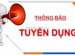 Tuyển dụng nhân viên thiết kế bao bì carton