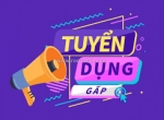 Tuyển dụng quản lý điều hành, kế toán, văn phòng